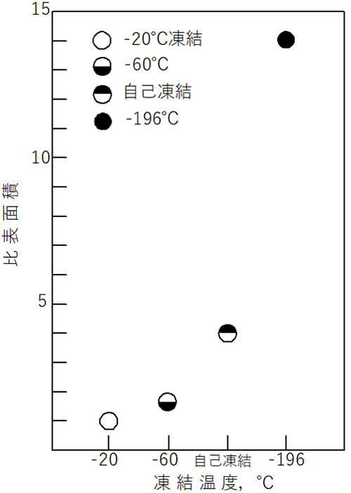 図6　マグロの凍結温度と空隙の表面積