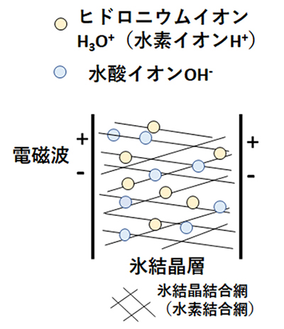 図５　電磁波と氷結晶格子上のヒドロニウムイオンと水酸イオンの状態