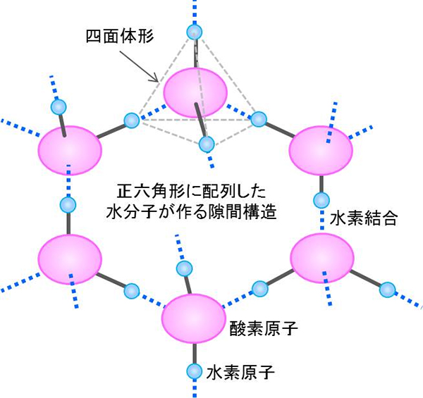 図3 六方晶氷の水分子構造と水素結合
