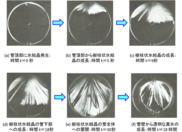 図２ 円管内水の氷成長挙動の可視化写真
