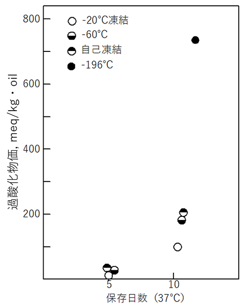 図7　マグロの保存日数と過酸化物化