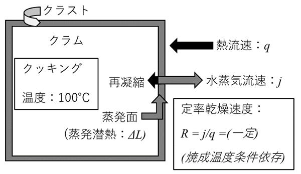 図14 焼成プロセスの熱物質移動現象