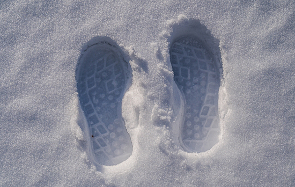 写真６ 雪面上の足跡