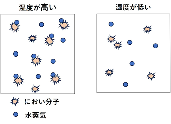 図２ 湿度状態による水蒸気とにおい分子の関係