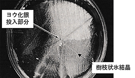 写真3　氷核生成物質を含む水の凍結挙動